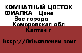 КОМНАТНЫЙ ЦВЕТОК -ФИАЛКА › Цена ­ 1 500 - Все города  »    . Кемеровская обл.,Калтан г.